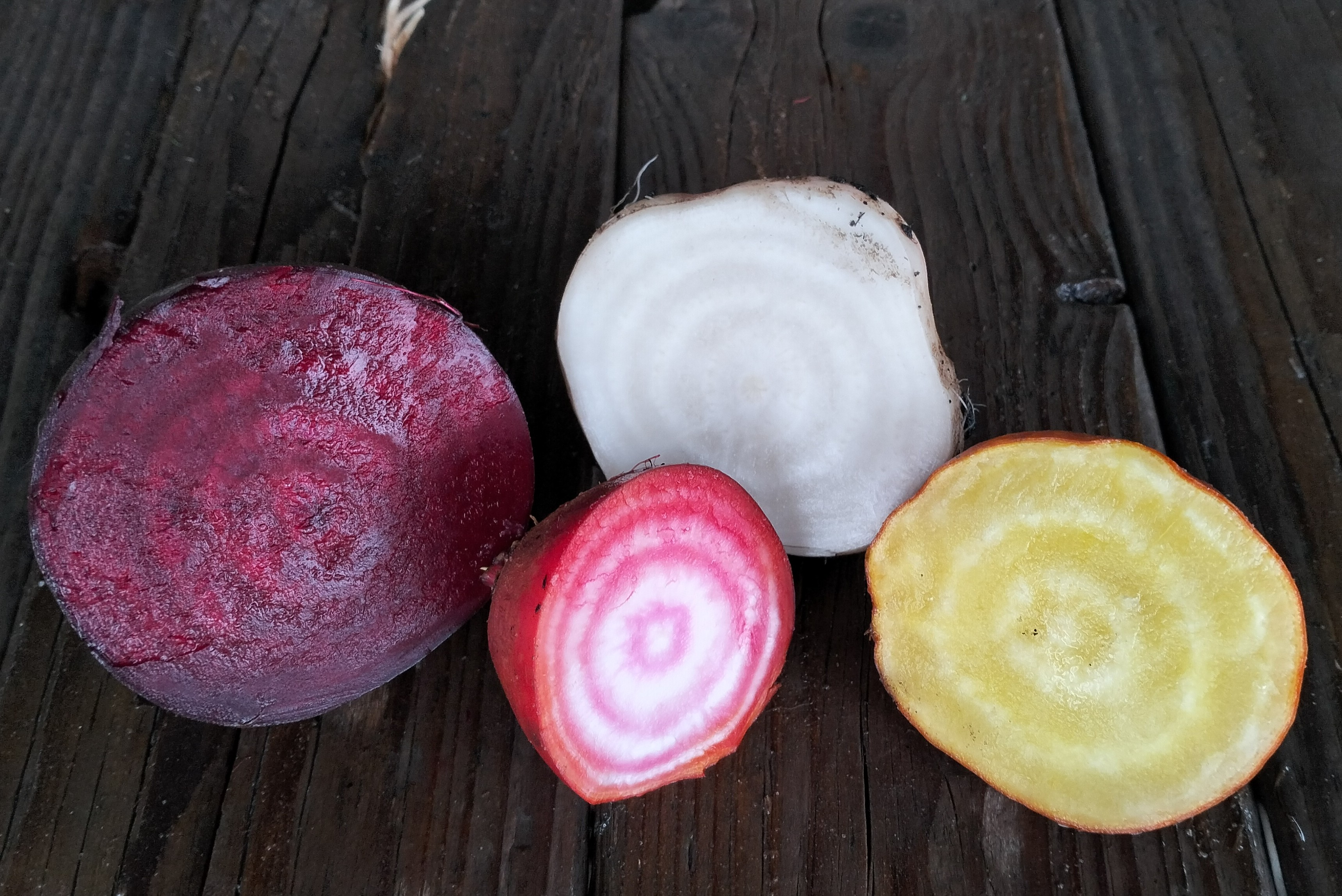 Bunte Beten - lose im Mix